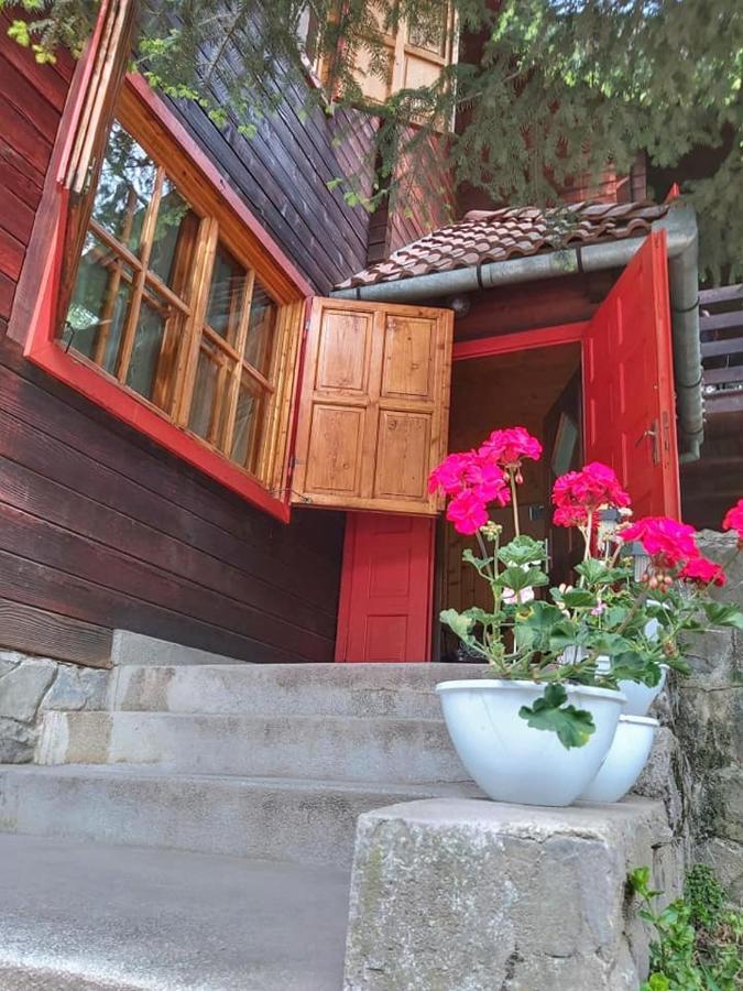 브란 Cabana Sabrina 빌라 외부 사진